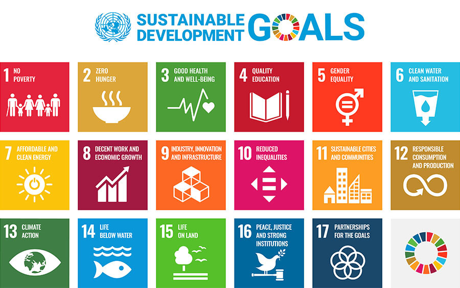 Sustainable Development Goals (SDGs)